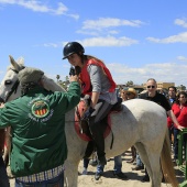 Cavalls per la Joia