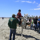 Cavalls per la Joia