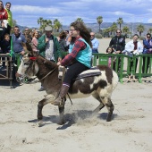 Cavalls per la Joia