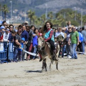 Cavalls per la Joia