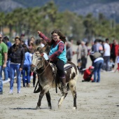 Cavalls per la Joia