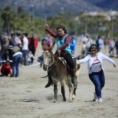 Cavalls per la Joia