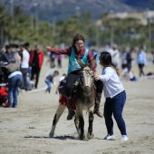 Cavalls per la Joia