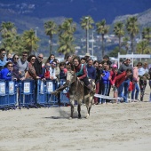 Cavalls per la Joia