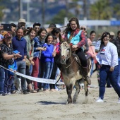 Cavalls per la Joia