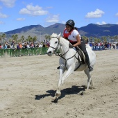 Cavalls per la Joia