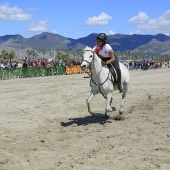 Cavalls per la Joia