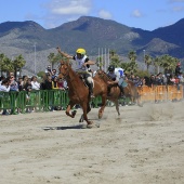 Cavalls per la Joia