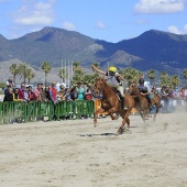 Cavalls per la Joia