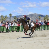 Cavalls per la Joia