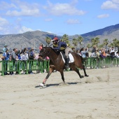 Cavalls per la Joia