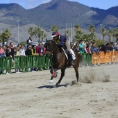 Cavalls per la Joia