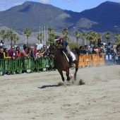 Cavalls per la Joia