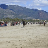 Cavalls per la Joia