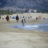 Cavalls per la Joia