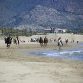 Cavalls per la Joia