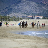 Cavalls per la Joia