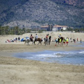 Cavalls per la Joia