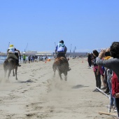 Cavalls per la Joia