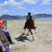 Cavalls per la Joia