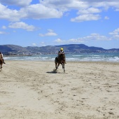 Cavalls per la Joia