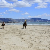 Cavalls per la Joia