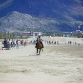 Cavalls per la Joia