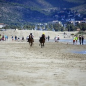 Cavalls per la Joia