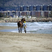 Cavalls per la Joia