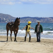 Cavalls per la Joia