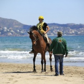 Cavalls per la Joia