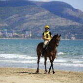 Cavalls per la Joia