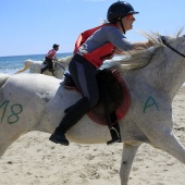 Cavalls per la Joia