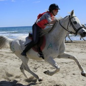 Cavalls per la Joia