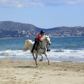 Cavalls per la Joia