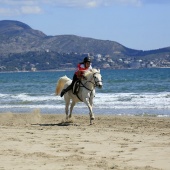 Cavalls per la Joia