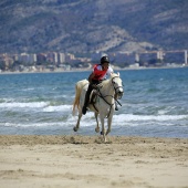 Cavalls per la Joia