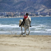 Cavalls per la Joia