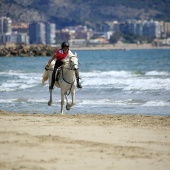 Cavalls per la Joia