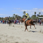 Cavalls per la Joia