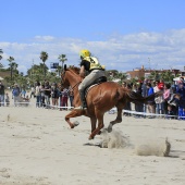 Cavalls per la Joia