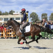 Cavalls per la Joia