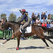 Cavalls per la Joia