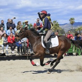 Cavalls per la Joia