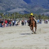 Cavalls per la Joia