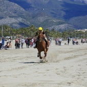 Cavalls per la Joia