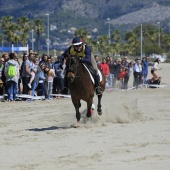 Cavalls per la Joia