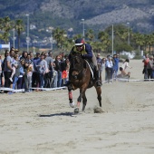 Cavalls per la Joia