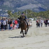 Cavalls per la Joia