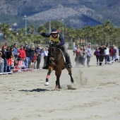 Cavalls per la Joia